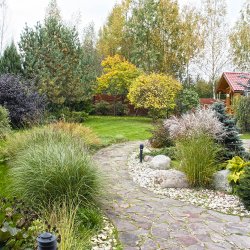 Дизайн сада трав и камней фото